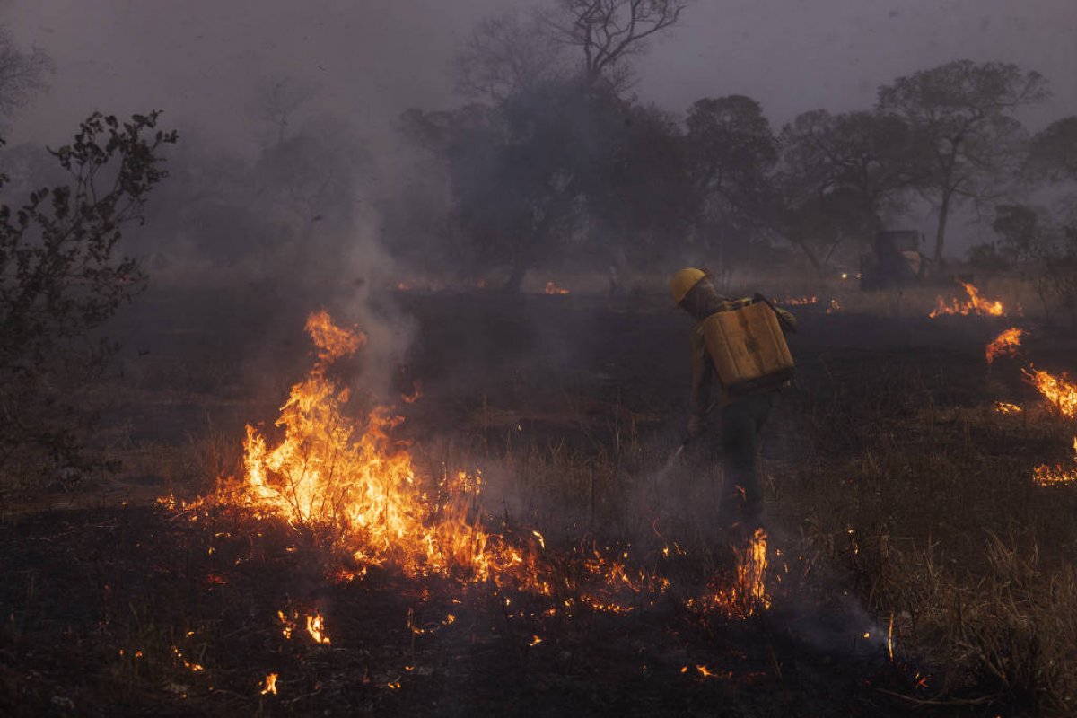 Pantanal teve 17% da área total queimada em 2024, apontam dados de satélite