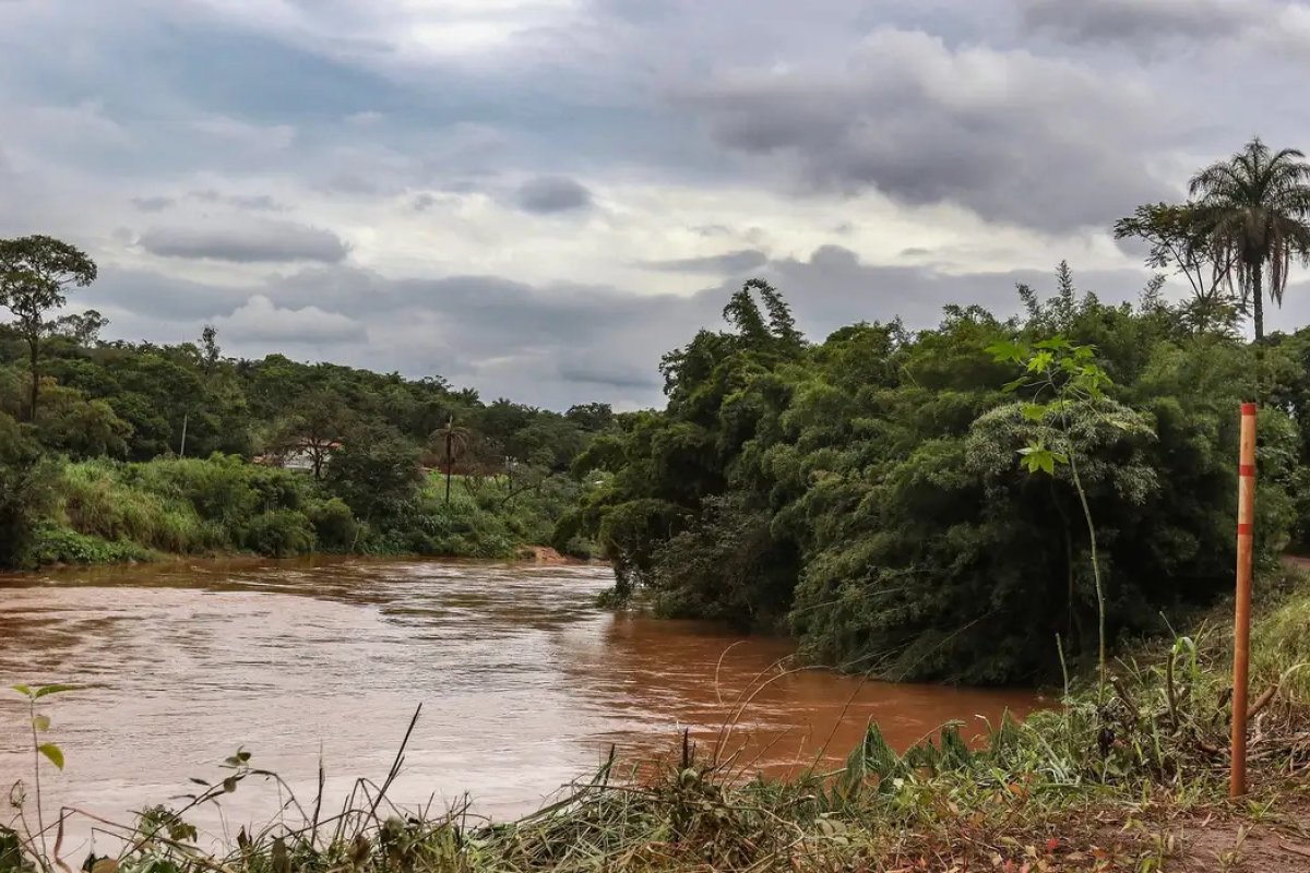 Tragédia de Brumadinho: seis anos depois, estudo detecta presença de metais na urina de crianças