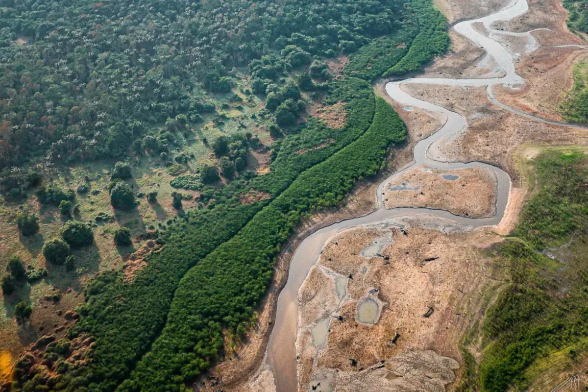 Pesquisa com bactérias na Amazônia estuda a possibilidade de desenvolver novos medicamentos