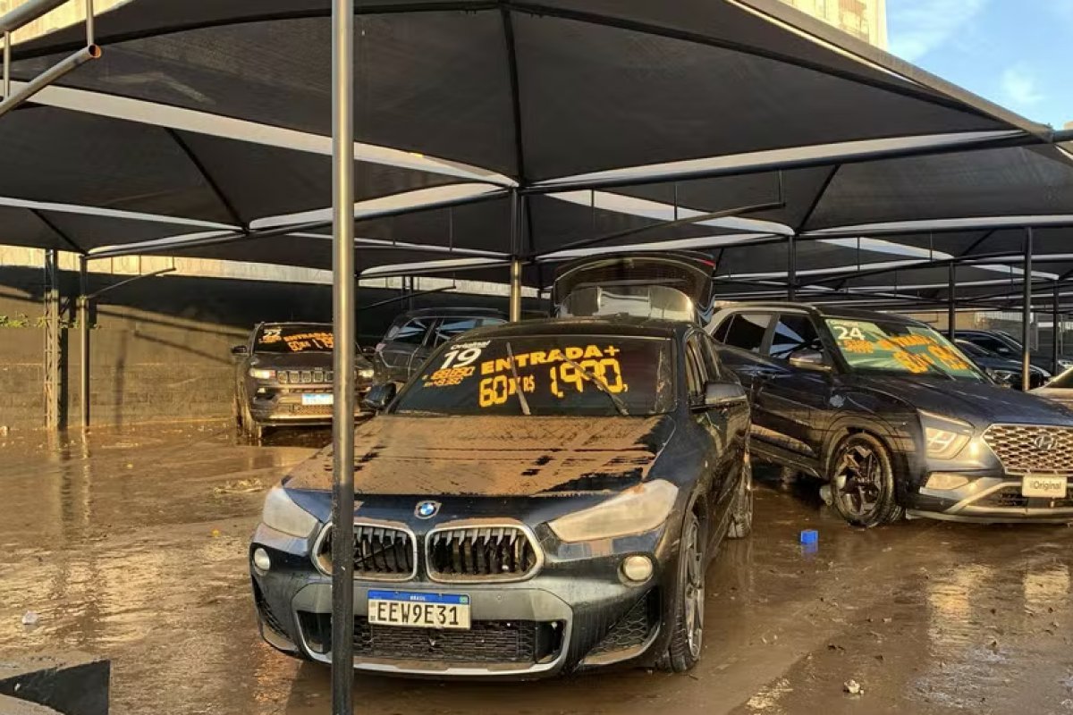 Carros de luxo de concessionária em Guarulhos ficam boiando após chuva forte na Grande SP