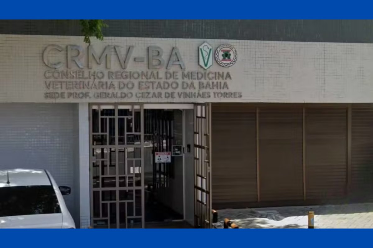 Conselho de Medicina Veterinária da Bahia abre concurso com vagas imediatas e salários de até R$ 8 mil