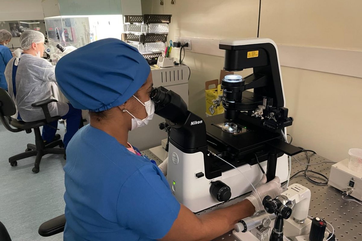 Fertilização In Vitro e preservação da fertilidade: taxas de sucesso em transferência gira em torno de 60%, mesmo para embriões congelados!