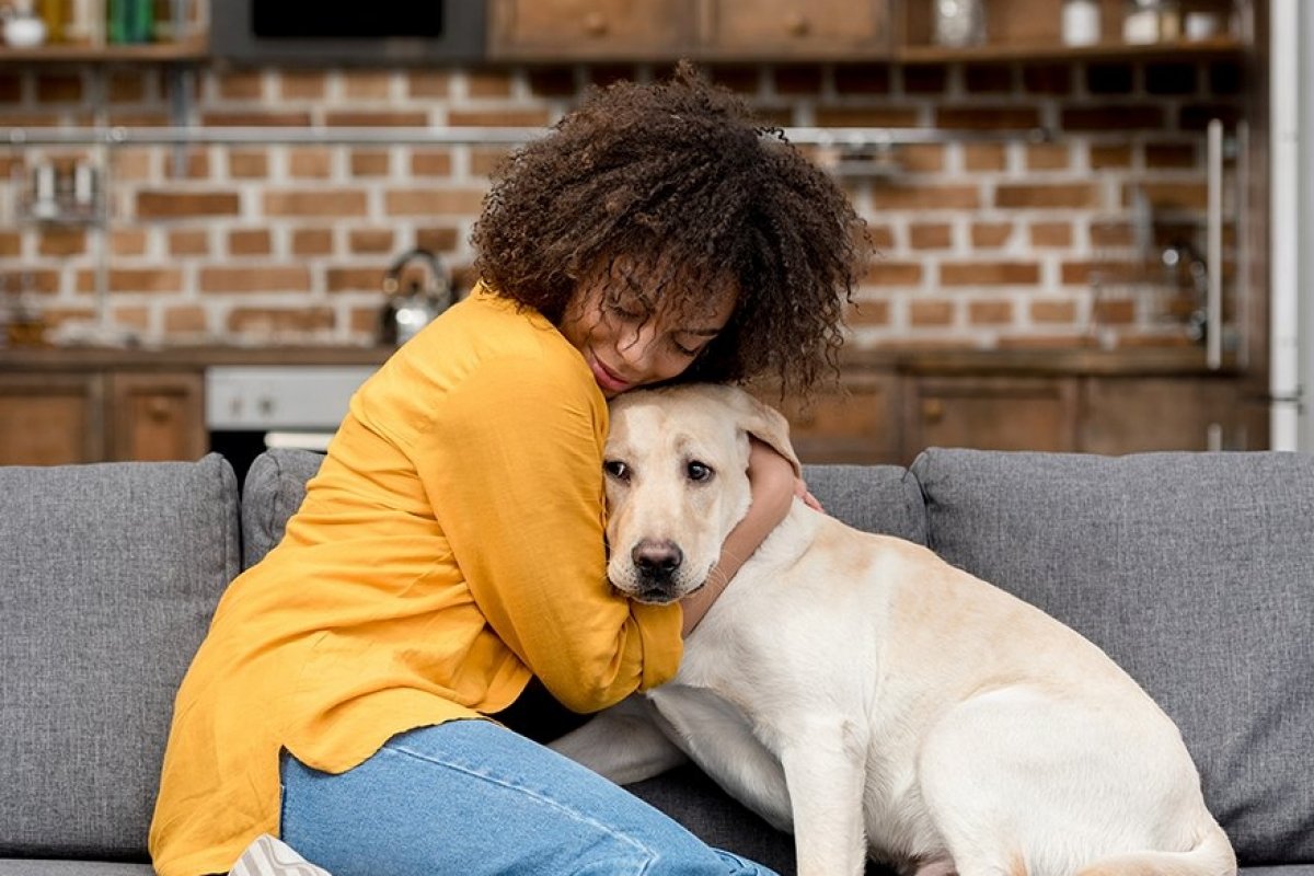 Agora pode: STJ permite a criação de animais no condomínio
