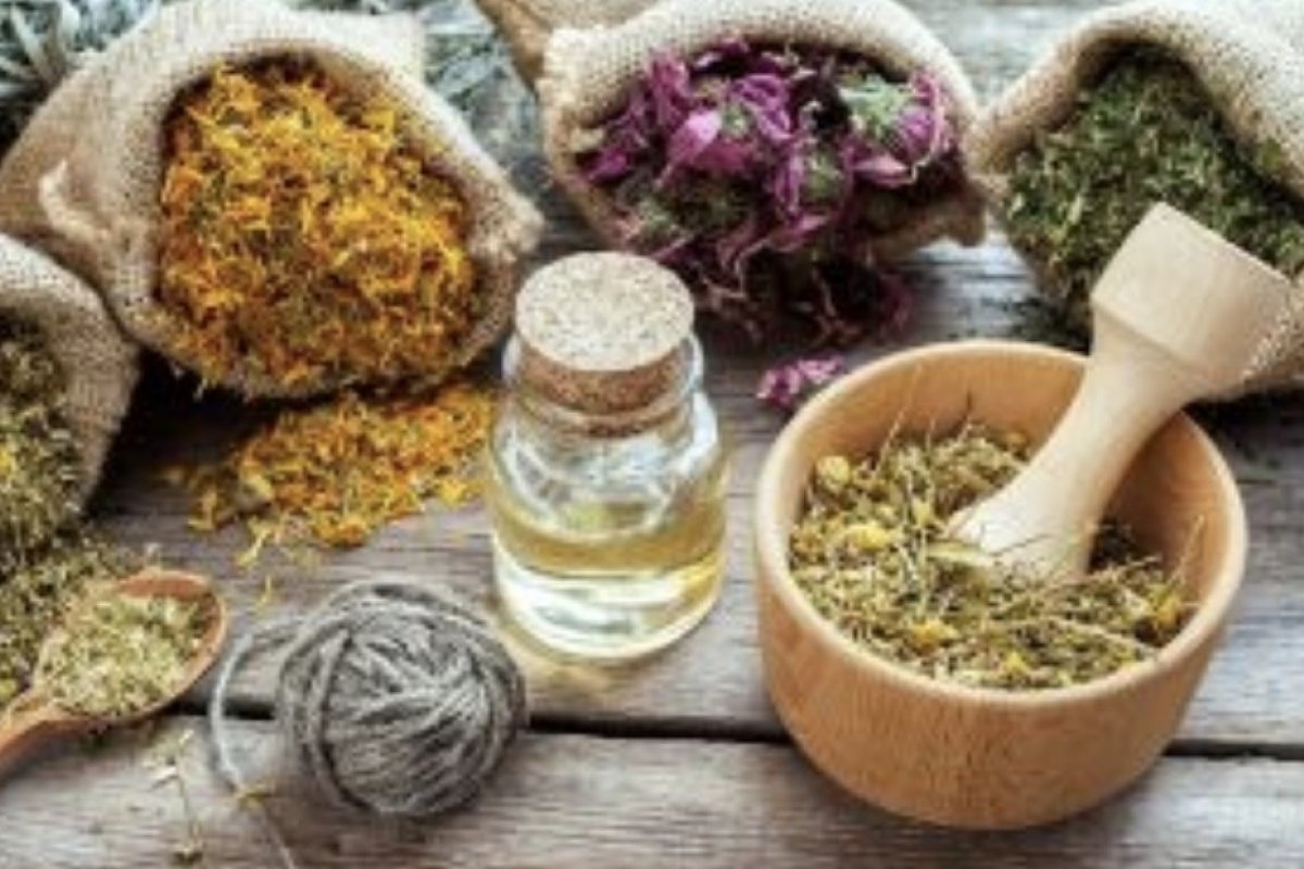 Fitoterapia | 6 Plantas que favorecem a saúde da mulher na Menopausa!