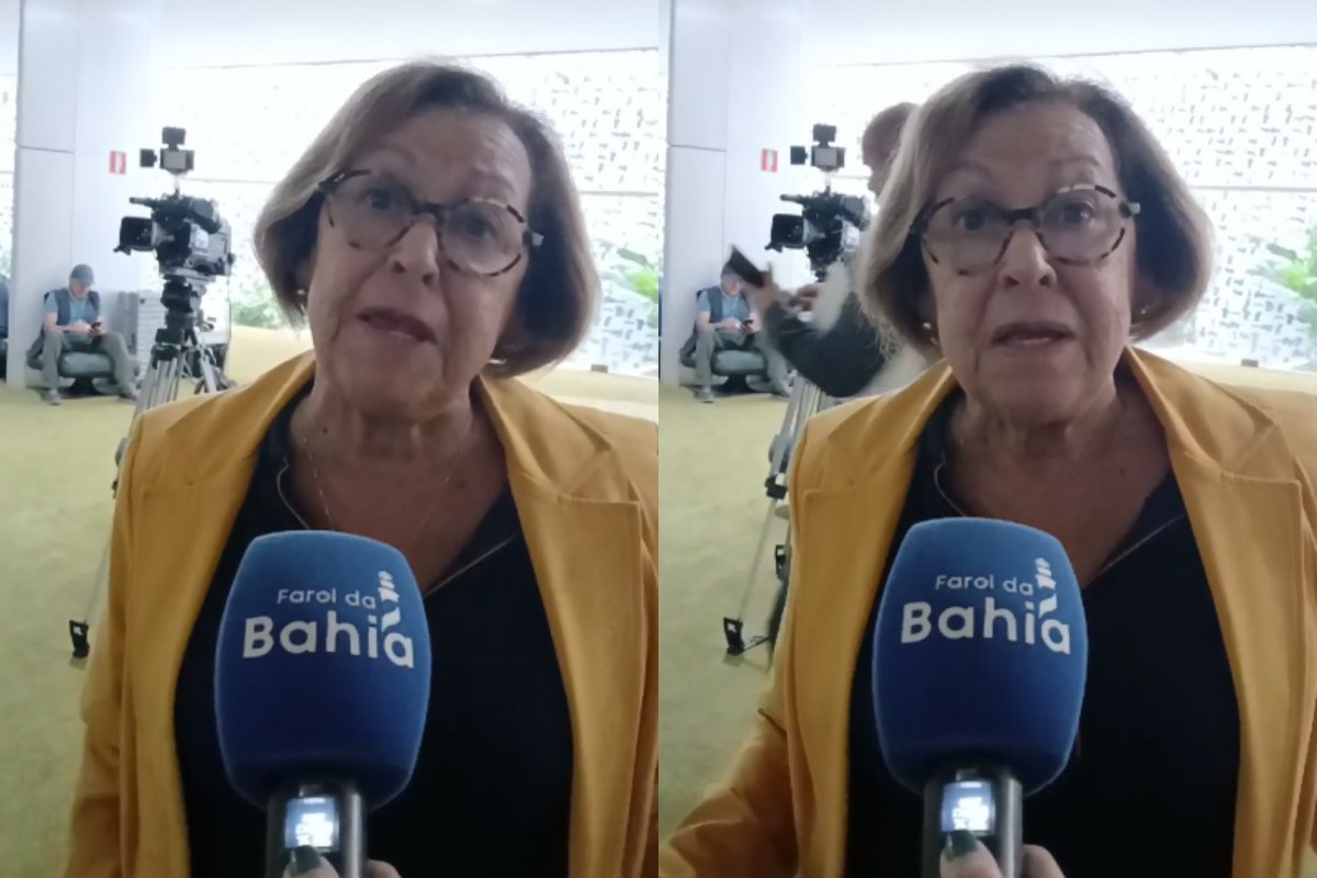 Vídeo: "Quase 12% dos trabalhadores continuam na jornada 6x1", afirma Lídice da Mata ao defender PEC