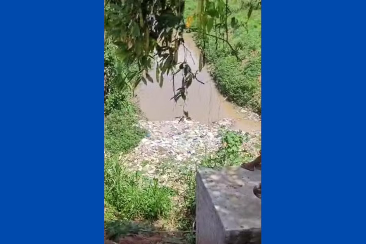 Catador de recicláveis desaparece em córrego de Salvador; bombeiros realizam buscas