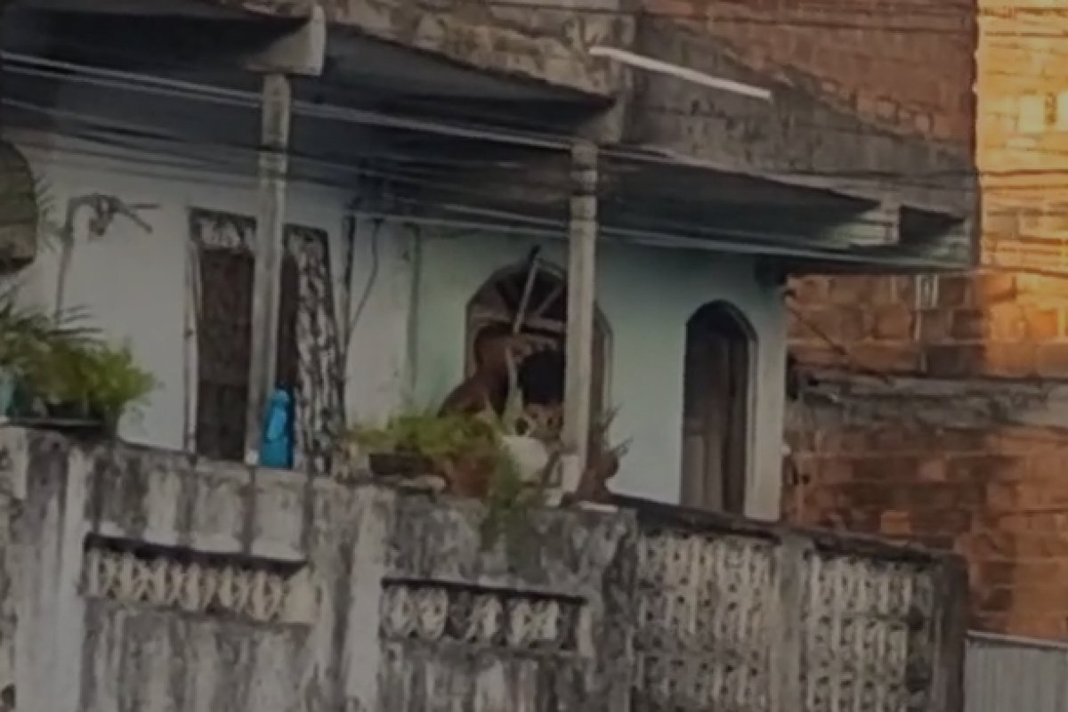 Vídeo: Mulher é feita refém no bairro de Massaranduba 