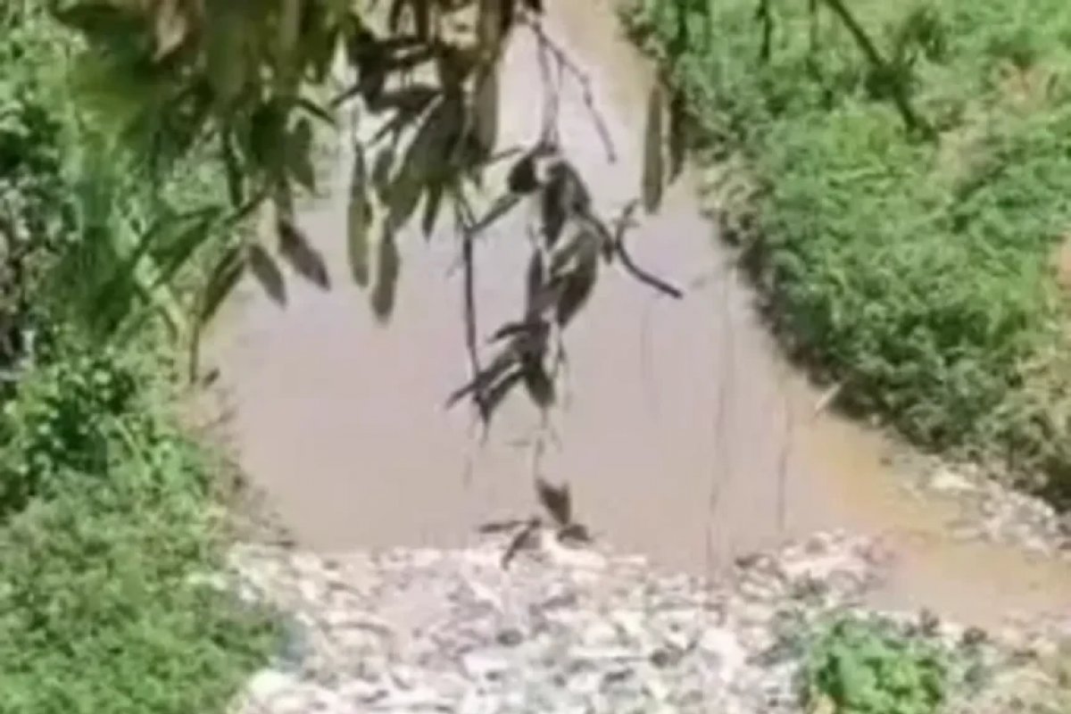 Corpo de reciclador desaparecido em córrego de Salvador é encontrado