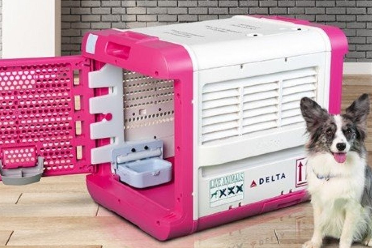 Delta lança experiência de viagem de 1ª classe para pets