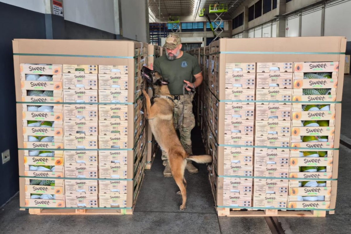 Carnaval: Receita faz operação com polícias Civil e Federal para inspecionar mais de 500 malas no aeroporto de Salvador