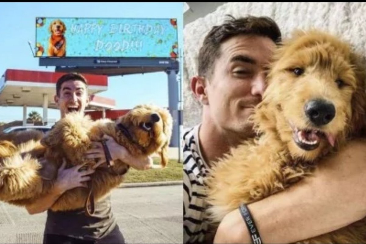 Rapaz aluga outdoor para parabenizar cachorro pelo aniversário: "Não tenho namorada, gasto com meu cão"