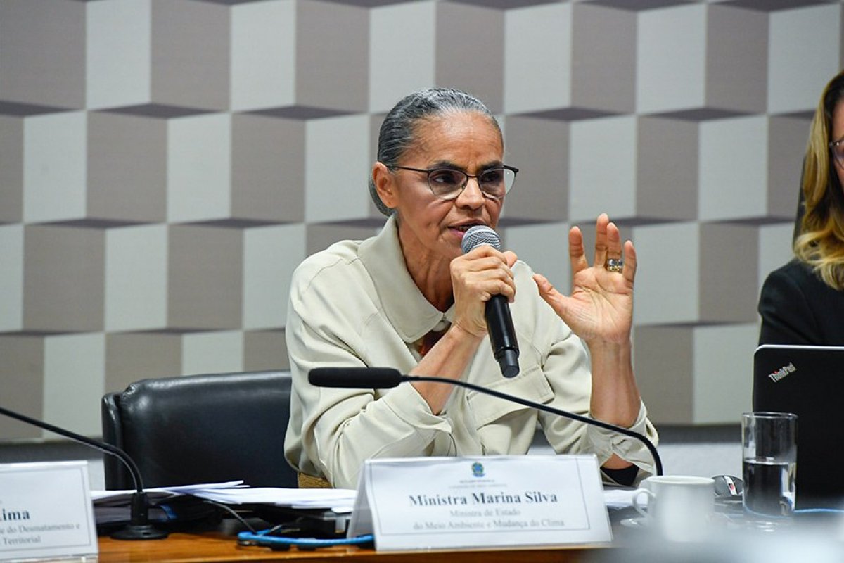 Comissão de Meio Ambiente vota convite para Marina Silva apresentar metas ambientais de 2025