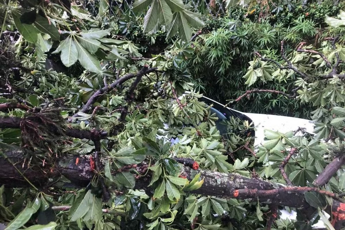 Chuva deixa um morto, 141 mil sem luz e provoca caos em São Paulo