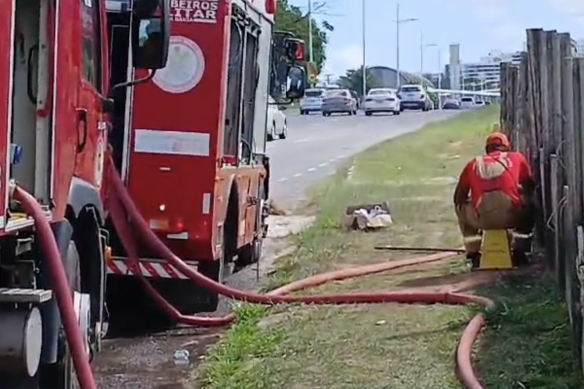 Vídeo: bombeiros combatem incêndio em área de mata na Avenida Paralela 