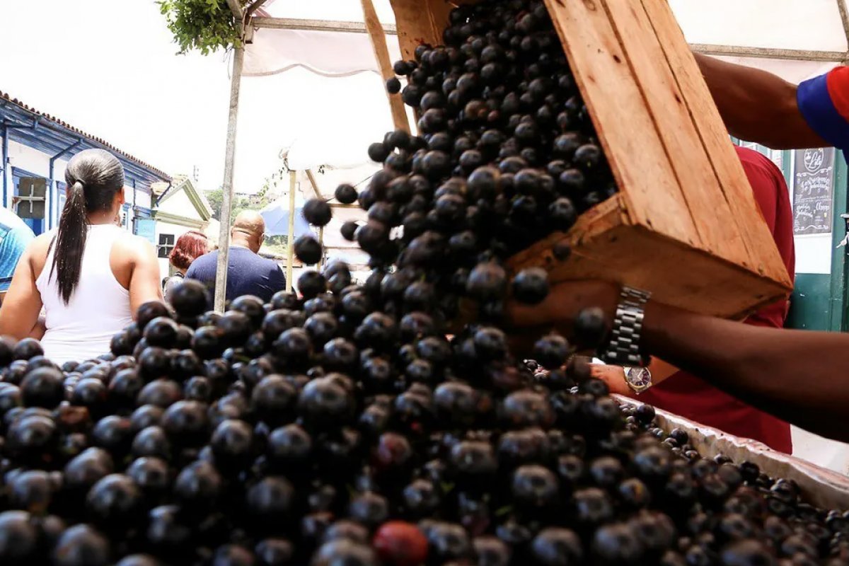 Ranking de 100 melhores frutas do mundo tem brasileira em 10º lugar