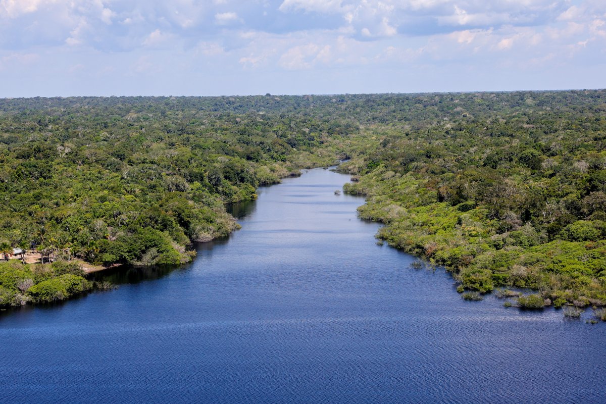 Fundo amazônico investirá R$ 5 milhões em projetos de base comunitária