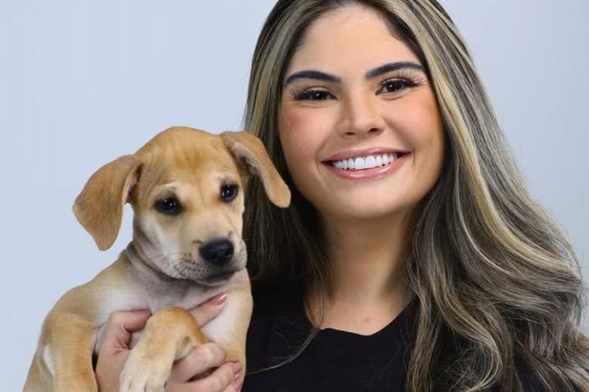 Vídeo: Desce do lustre Alice!