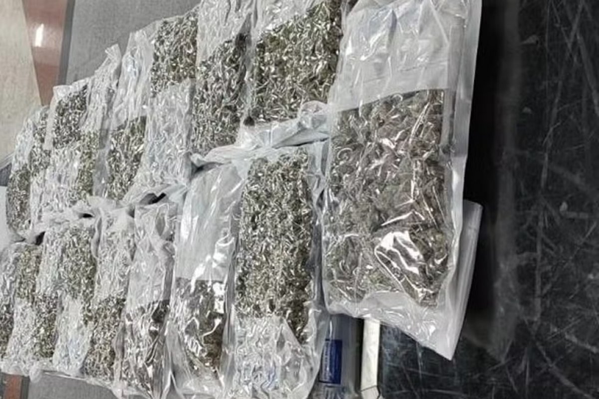 Quase 10 kg de substância conhecida como 'supermaconha' são apreendidos no Aeroporto de Salvador