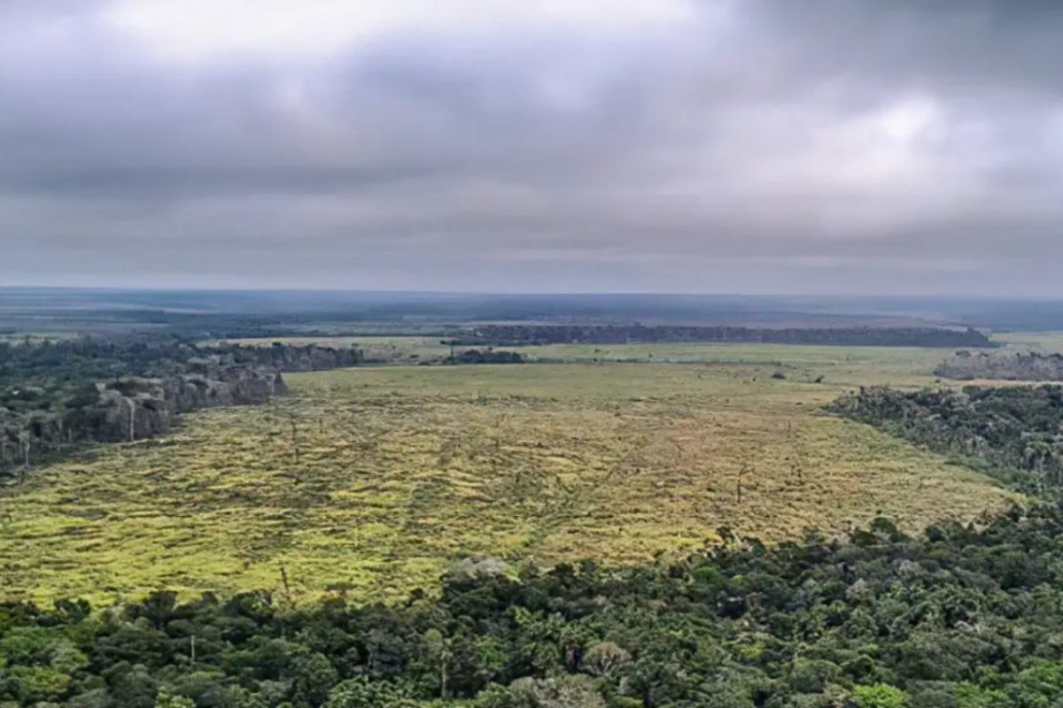 Amazônia teve perda de 3,6% da água de rios e lagos em 2024, diz MapBiomas
