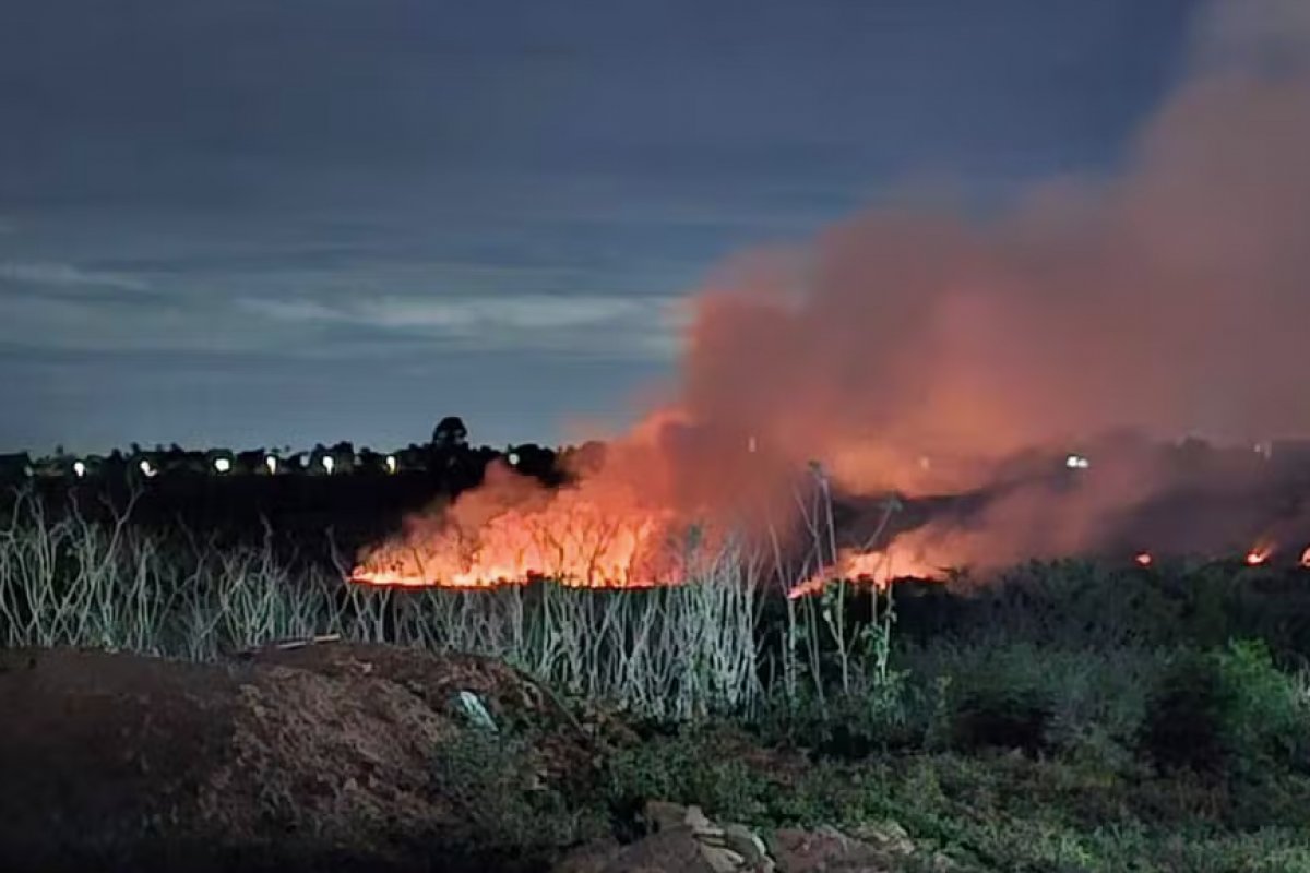Incêndio atinge vegetação de lagoa em Feira de Santana