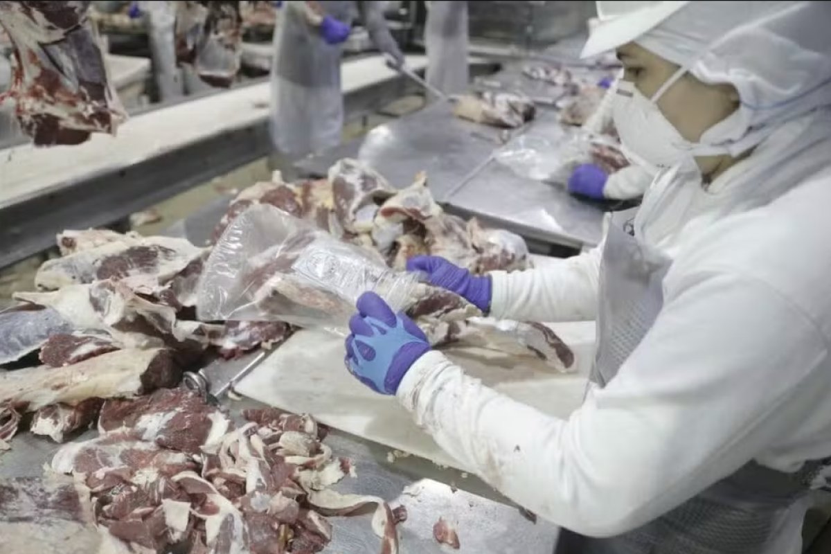 Brasil bate recorde com exportação de 219 mil toneladas de carne bovina em fevereiro