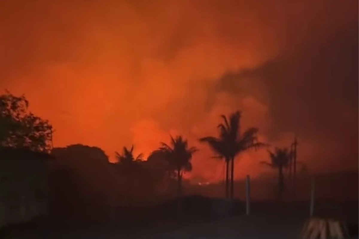 Incêndio de grandes proporções atinge Parque Nacional da Chapada Diamantina; bombeiros contam com apoio aéreo