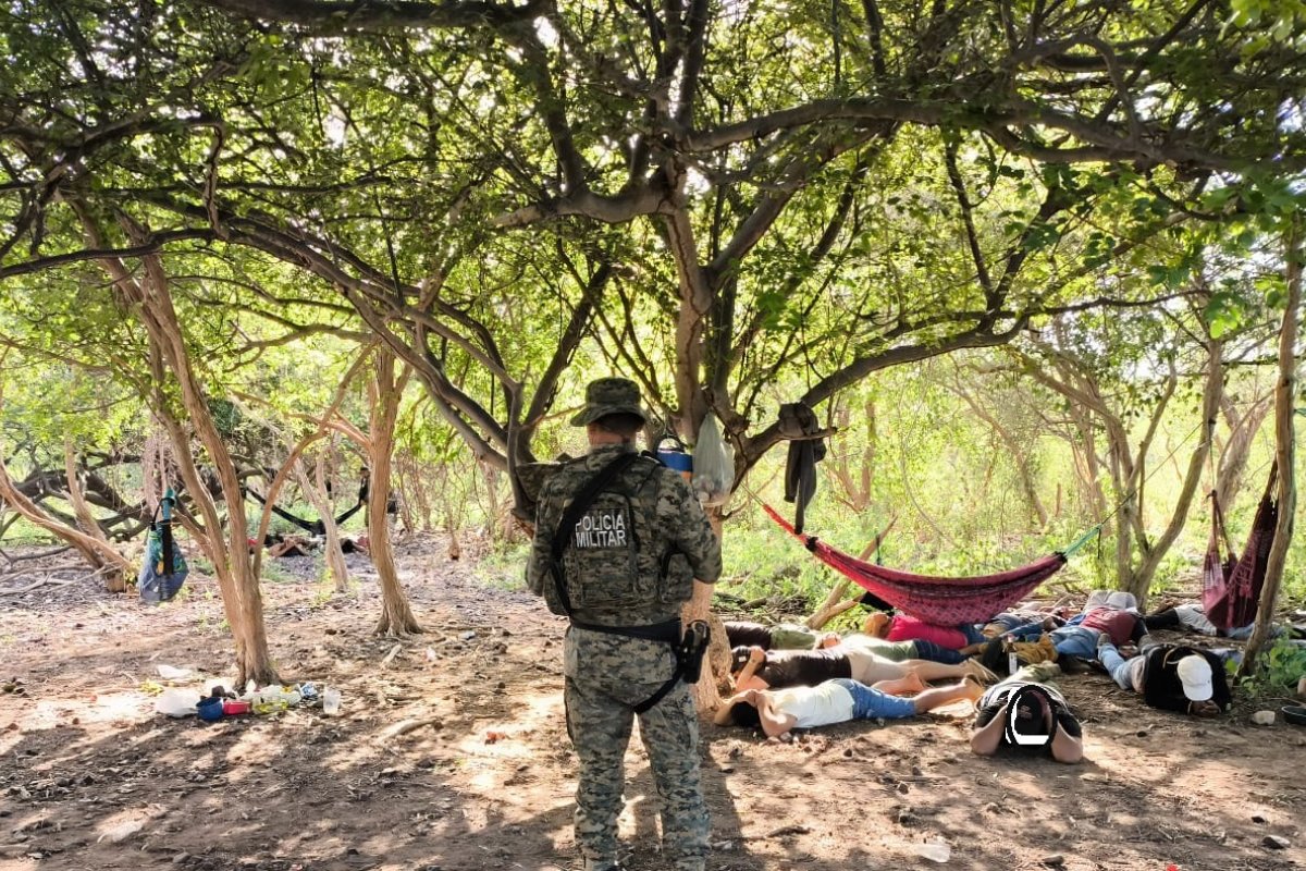 Torneio ilegal de caça de animais silvestres é desarticulado no norte da Bahia