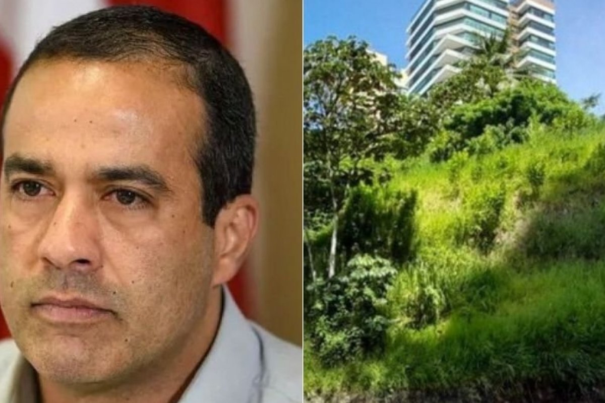 Justiça manda prefeitura suspender leilão de área verde no Morro Ipiranga e cita risco de dano ambiental