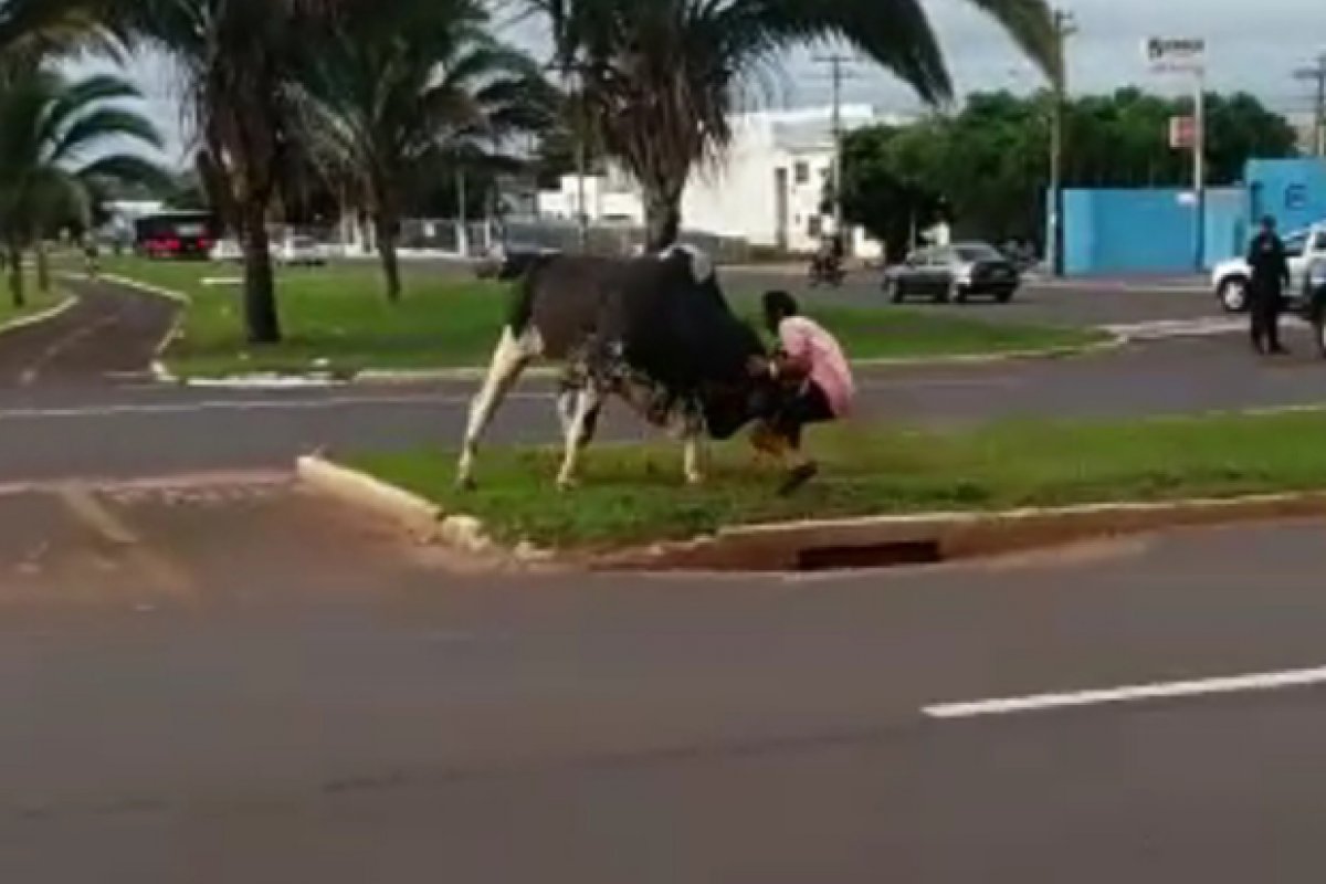 Touro perfura o pulmão de um homem e fere um motociclista em uma avenida