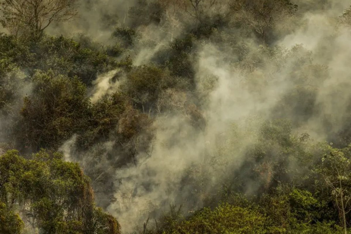 Parcela de brasileiros que nega risco das mudanças climáticas cresce para 9%, mostra Datafolha