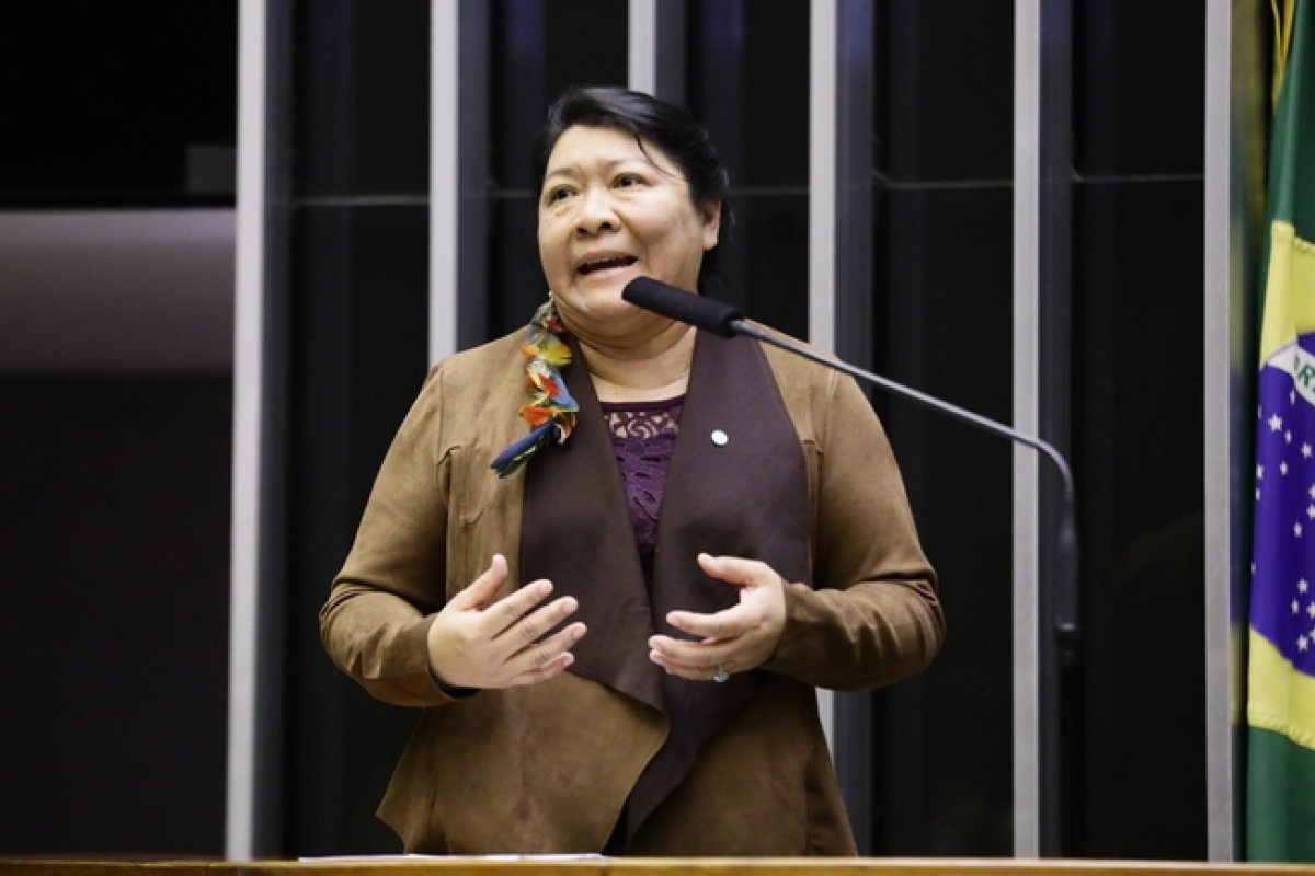 Os líderes da Oposição e da Minoria pedem devolução de PL ao executivo