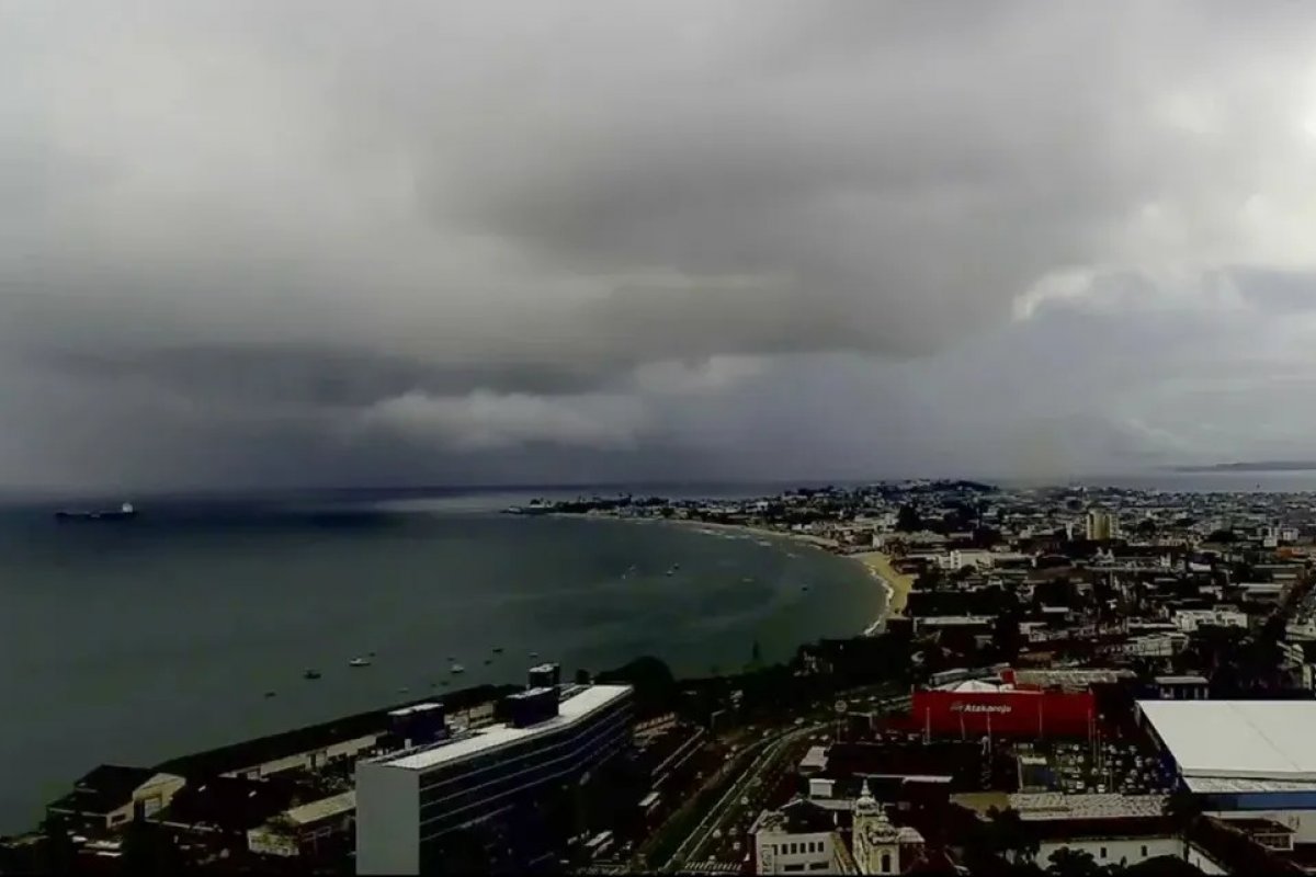 Queda de árvore e alagamentos: chuva gera transtornos na Bahia