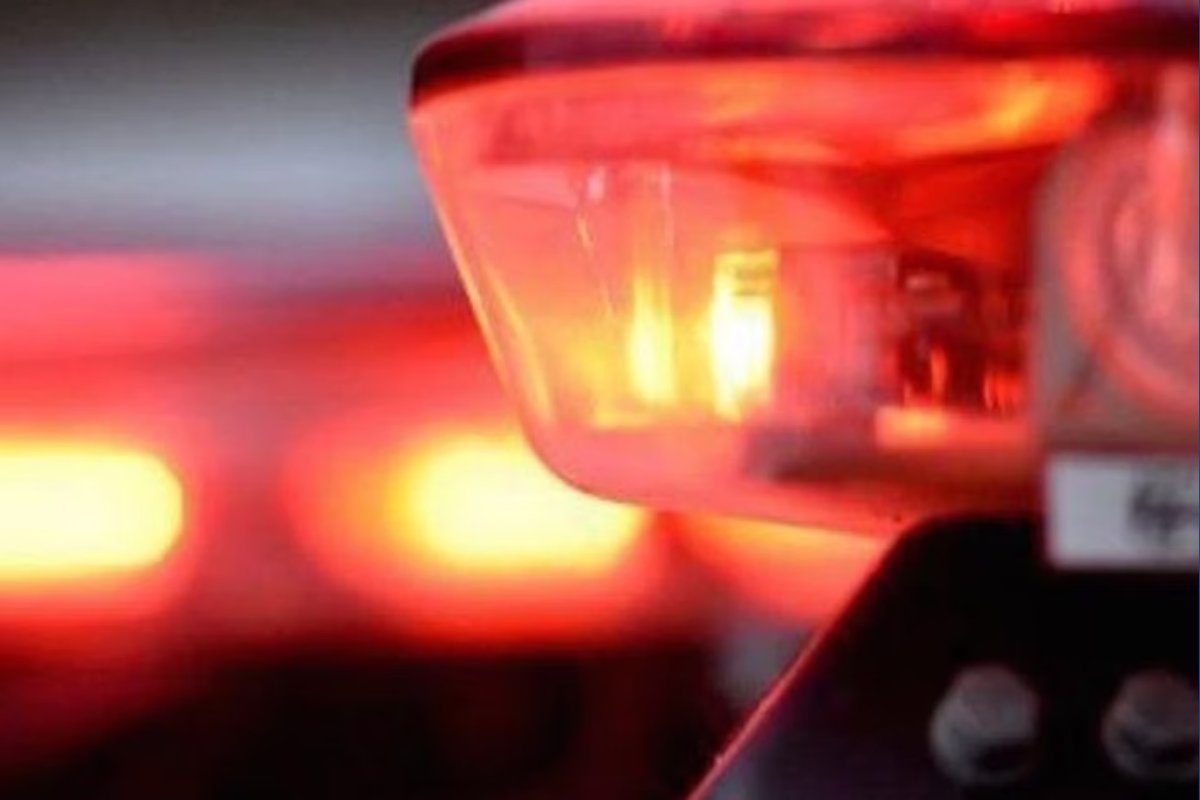 Homem é preso por importunação sexual dentro de ônibus no Distrito Federal