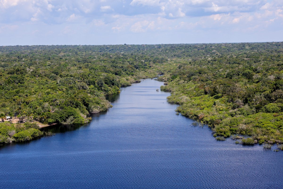 Falta de contato com natureza afeta crianças em comunidades tradicionais na Amazônia