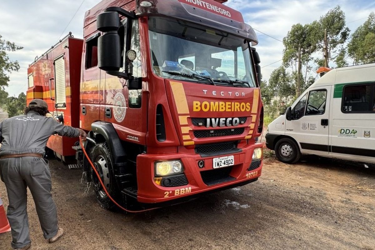 Governo do RS instala barreiras sanitárias em rodovias para conter gripe aviária