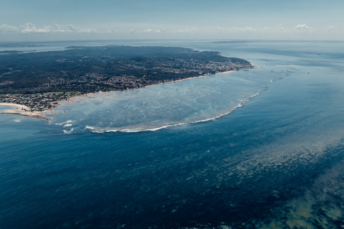 A restauração de corais na capital da Amazônia Azul é tema da 1ª Semana Oceânica da Bahia!