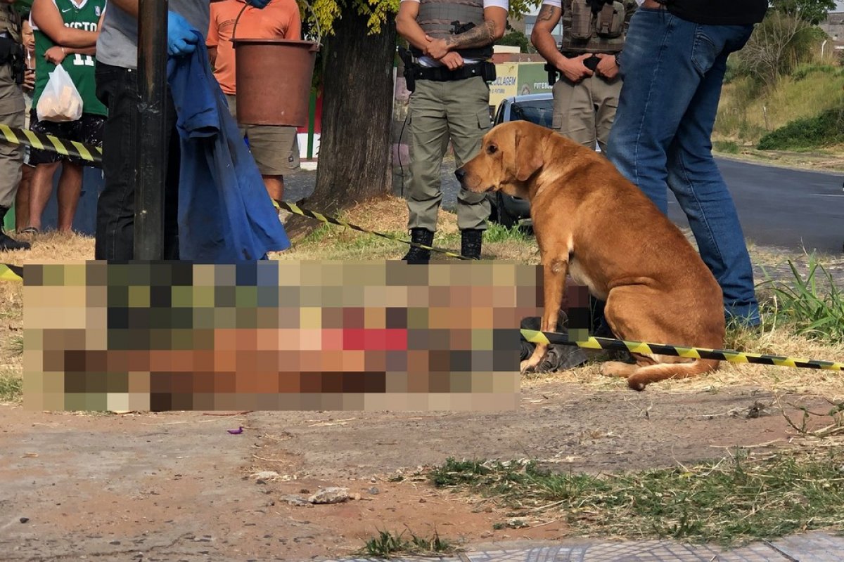Cachorro permanece ao lado de corpo após dono ser morto no Rio Grande do Sul