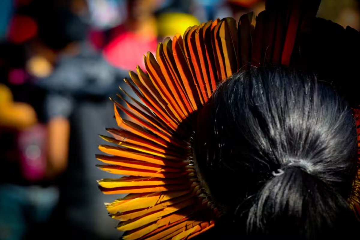 Senadores da CCJ derrubam decretos de Lula que avançam demarcação de terras indígenas em SC