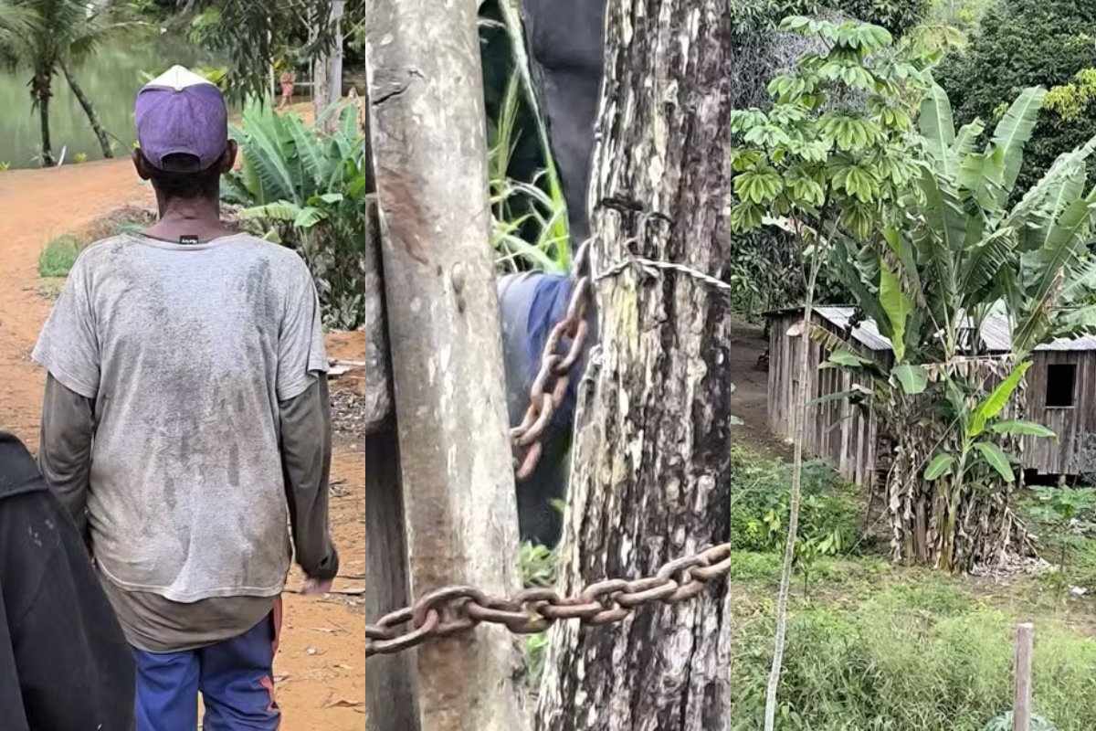 Trabalhadores são resgatados em situação análoga à escravidão no extremo sul da Bahia; três eram indígenas da etnia Pataxó Hã-Hã-Hãe