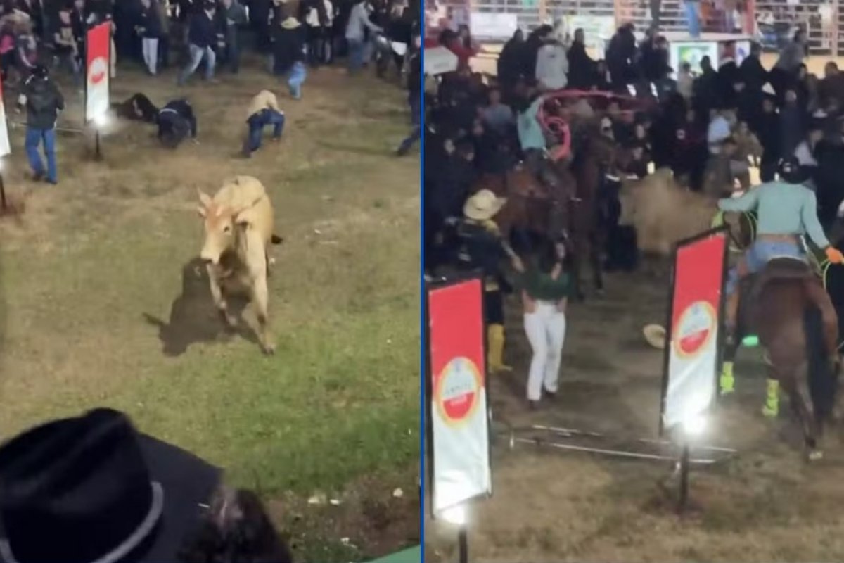 Quatro pessoas ficam feridas após touro escapar de arena em Festa do Peão, em MG