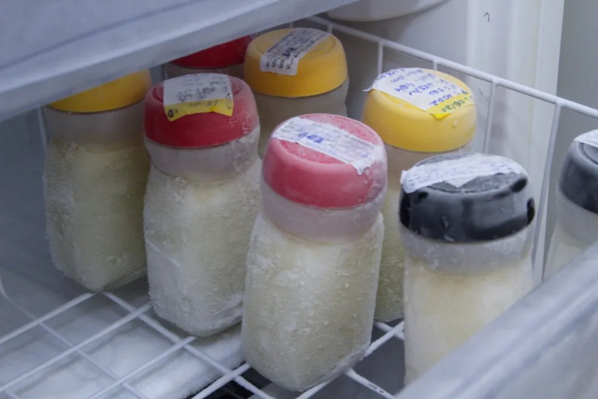 Bancos de leite na Bahia alertam para baixo estoque durante São João; saiba como doar