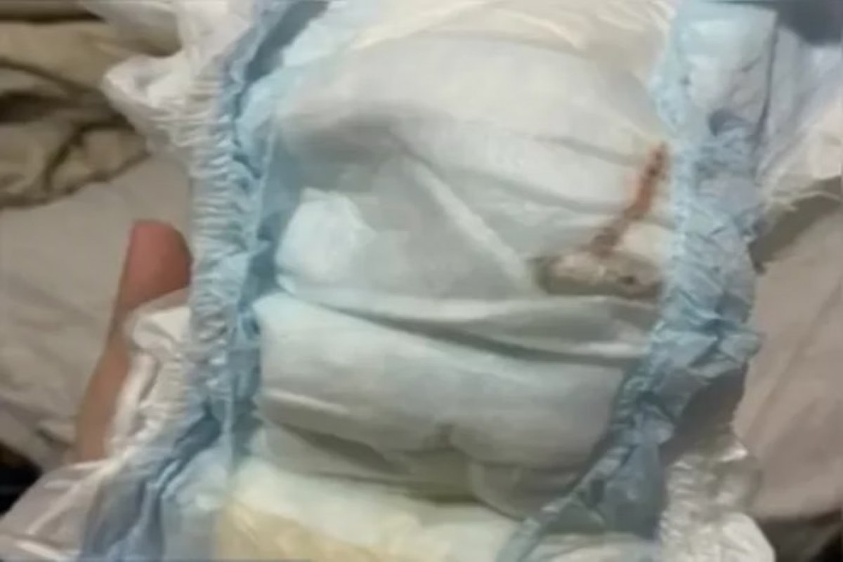 Mãe encontra camundongo morto dentro de fralda de bebê de um mês