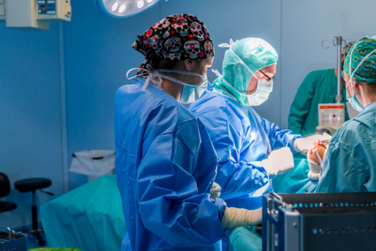 Brasil bate recorde de transplantes em 2024, mas número de doadores cai