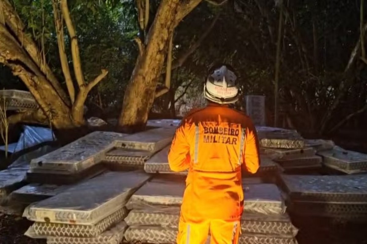 Negociações para que homem desça de árvore em Salvador já duram mais de 60 horas