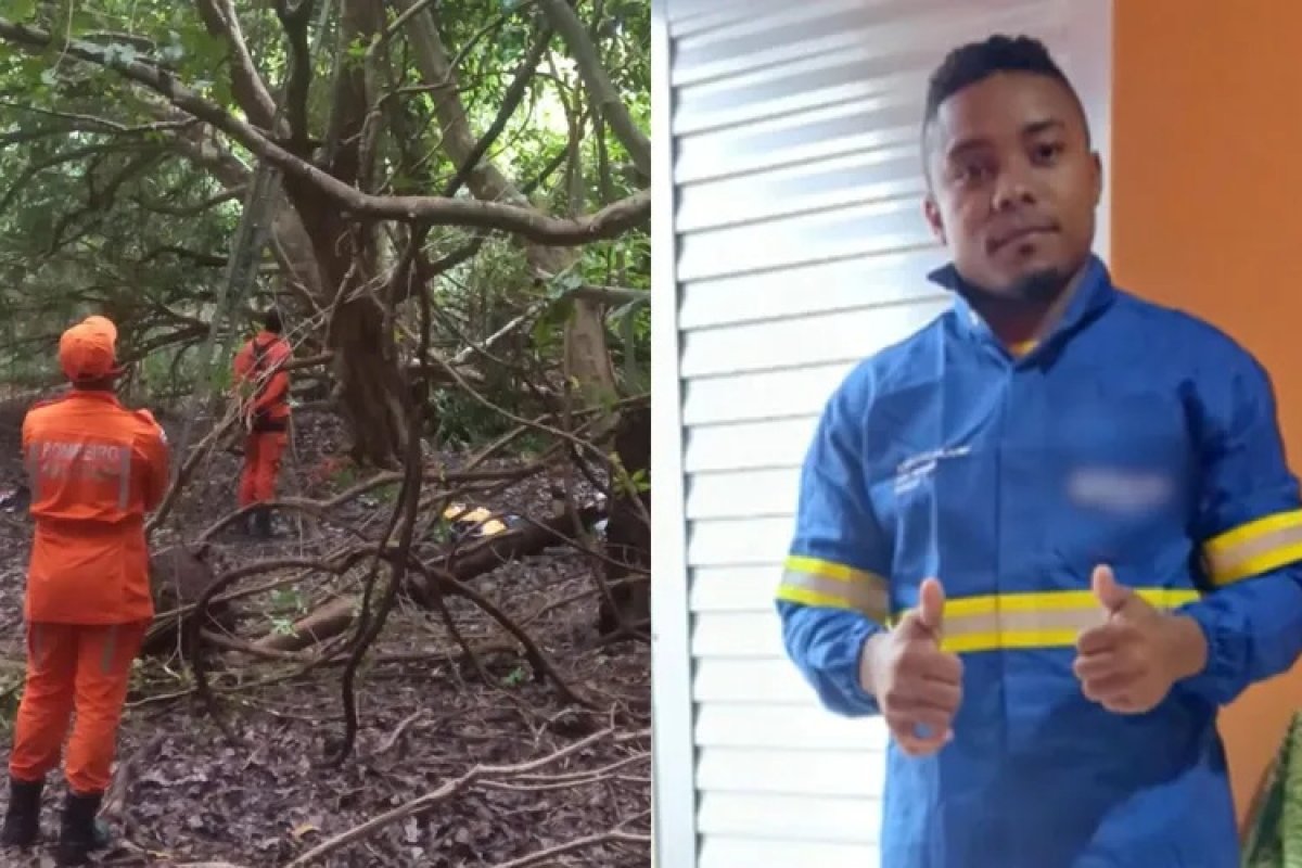 Depois de três dias de operação, homem desce da árvore em Salvador
