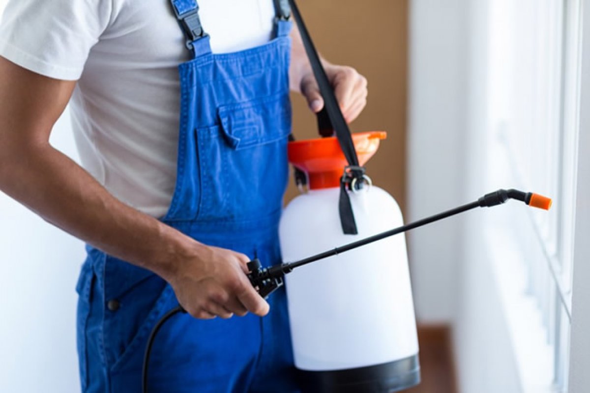 Vagas para dedetizador, relações públicas e esteticista são ofertadas nesta nesta segunda (17) em Salvador