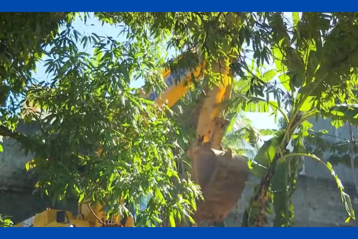 Terreiro de candomblé é demolido pelo Inema em Salvador
