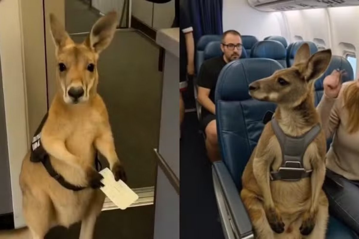 Uma imagem vale mais que mil palavras? IA generativa desafia a realidade e levanta preocupações