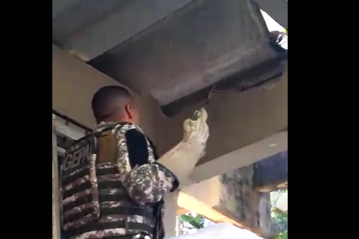 Cobra com mais de um metro é encontrada no teto de um colégio, em Salvador