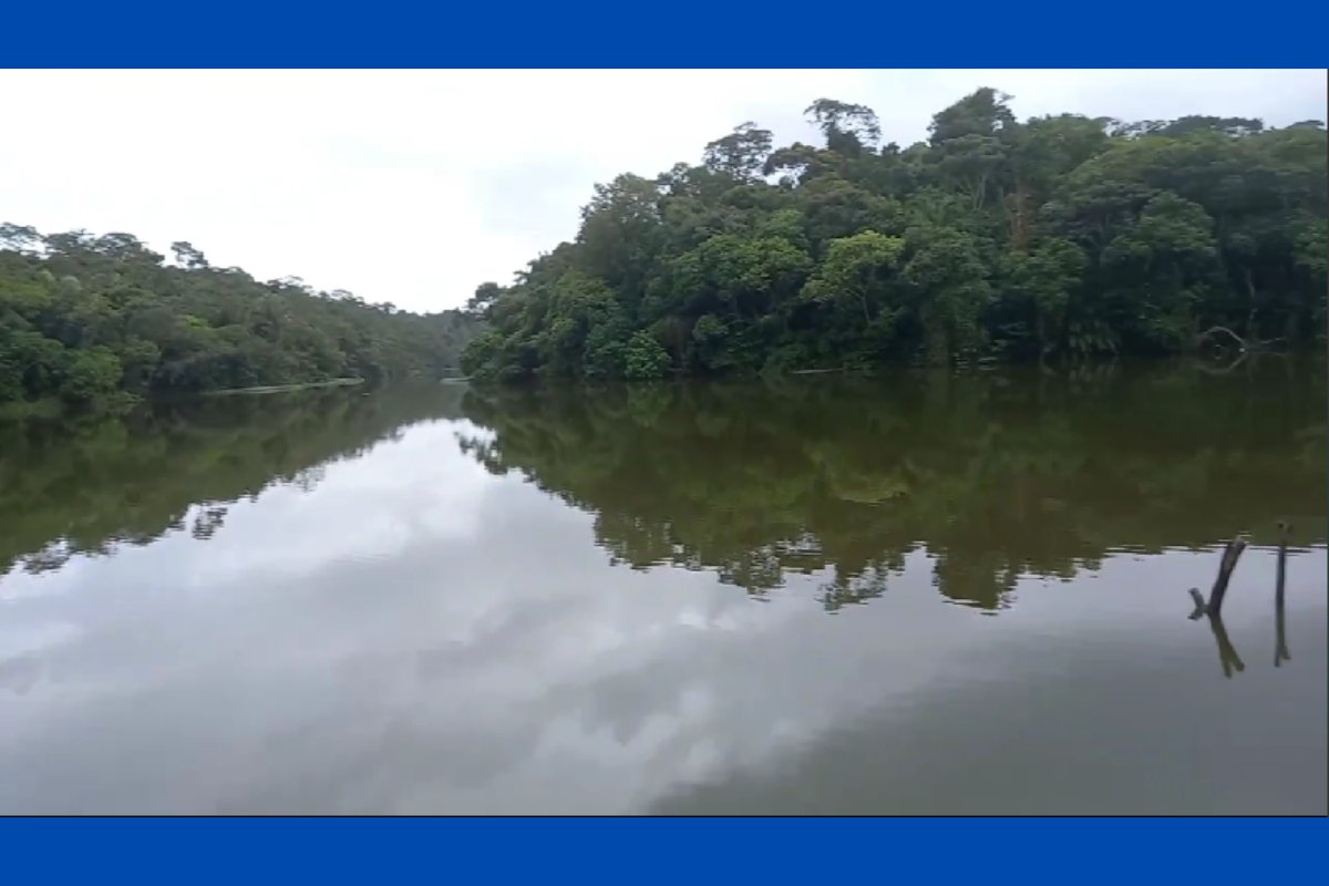 Caso ferro-velho: polícia usa drone aquático em nova fase de buscas por corpos das vítimas